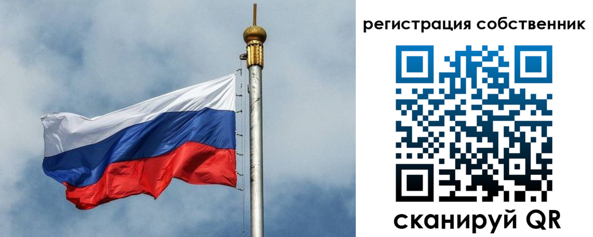 временная прописка в Волосово